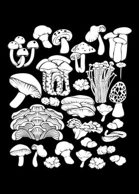 Mushrooms Types Fungi Vari