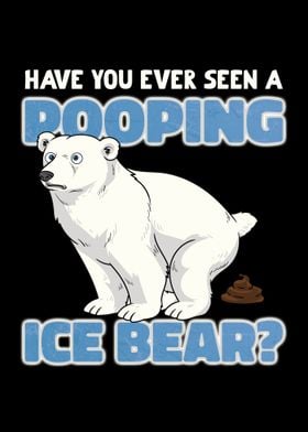 Ice Bear I Polar Animals I