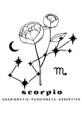 Scorpio zodiac