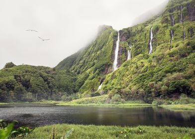 Azorean Waterfall