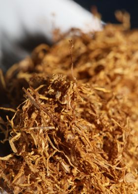 Rolling tobacco background