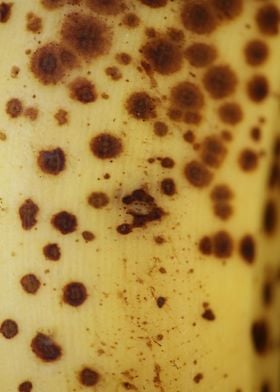 Banana fruit skin close up