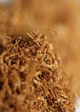 Albanian rolling tobacco