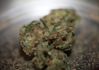 Medical cannabis marihuana