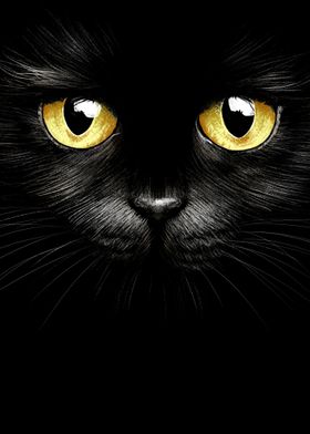 Black Cat And Yellow Eyes 