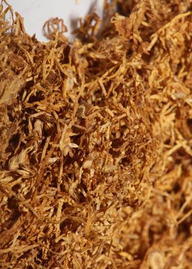 Rolling tobacco background