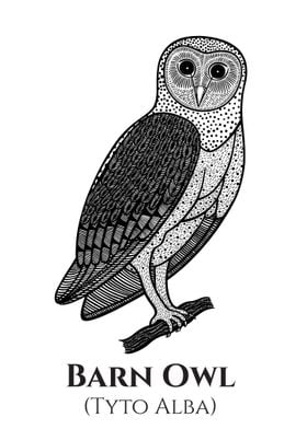 Barn Owl bird ink design