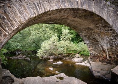 A Bridge