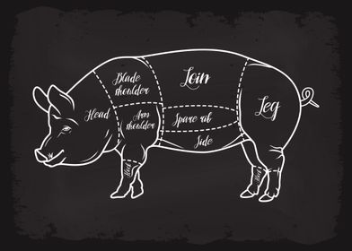 Butcher Cuts of Pork