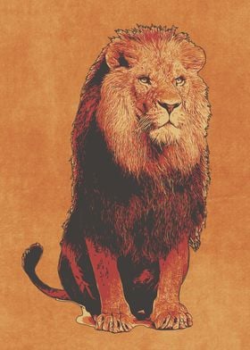 KING LION