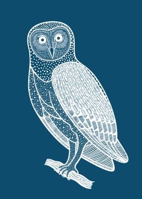 Barn Owl white blue design