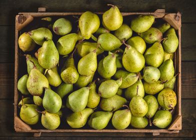 Fresh Pears In A Crate