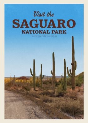 Visit Saguaro