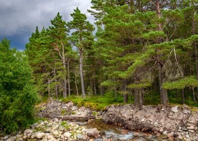 Cairngorms National Park