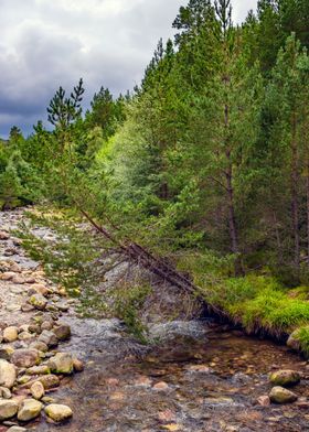 Cairngorms National Park