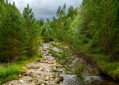 Cairngorms National Park