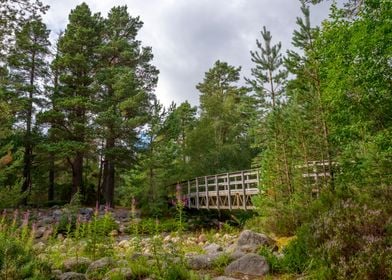 Cairngorms National Park