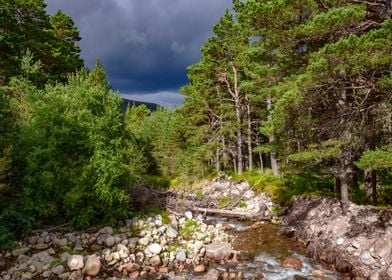 Cairngorms National Park