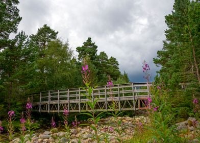 Cairngorms National Park