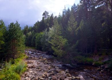 Cairngorms National Park