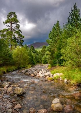 Cairngorms National Park