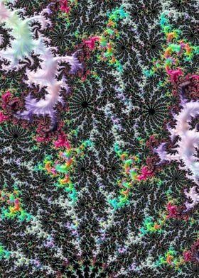 Freaky Fractals 41