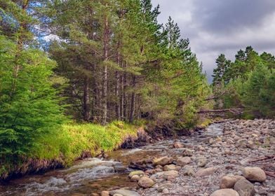 Cairngorms National Park