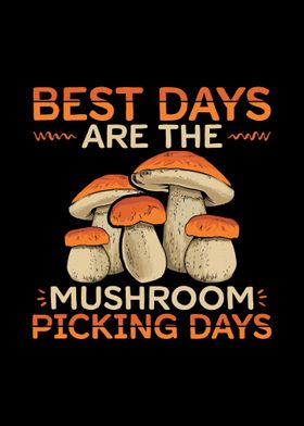 Funny Mushroom Picking