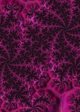 Freaky Fractals 50