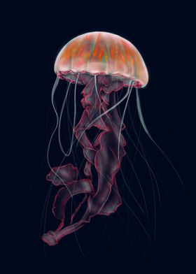 Orange Jellyfish 