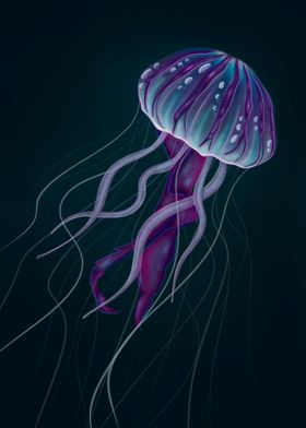 Purple Jellyfish