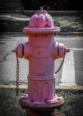 Pink Painted Mueller