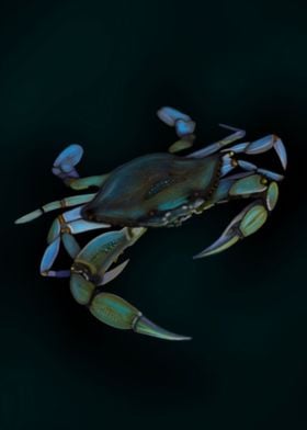 Crab 