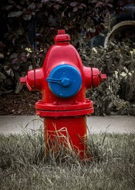 TCIW Hydrant