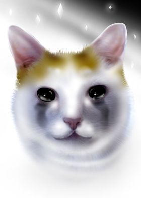 HD Pathetic Cat Meme Face | Poster