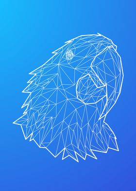 Macaw Portrait Wireframe