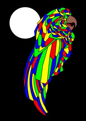 Night Multicolor Parrot