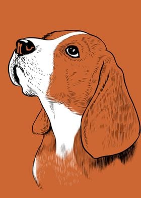 Adorable beagle dog
