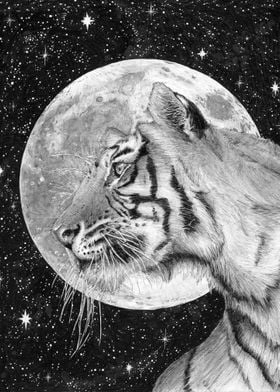 Moon and Tiger