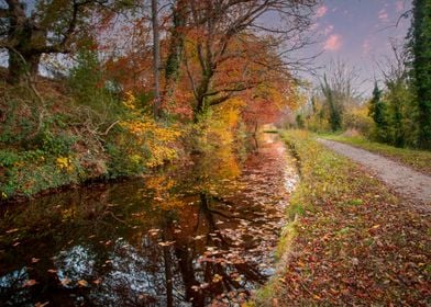 Glorious Autumn colours in