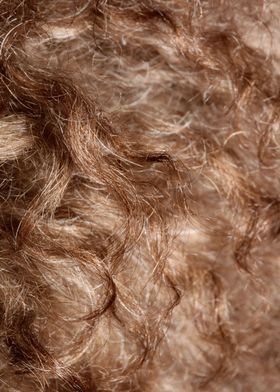 Dog brown hairs close up 