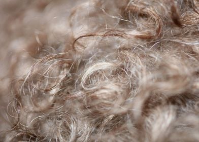 Brown curly hairs close up