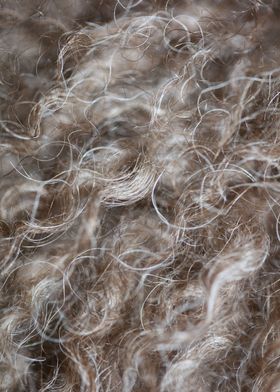 Brown curly hairs close up