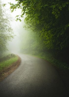 The Misty Road