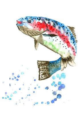 Rainbow Trout 