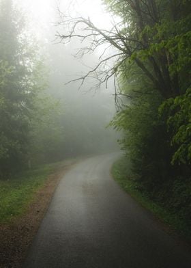 The Misty Road