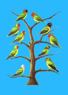 Birds on a Tree