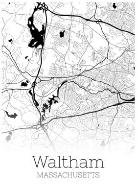 Waltham Massachussets 