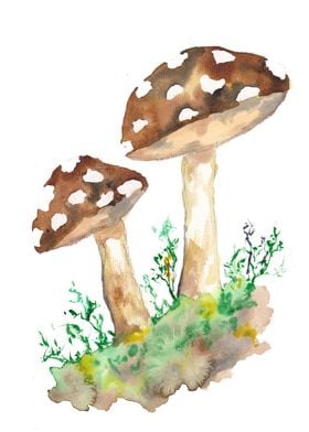 Brown Forest Mushrooms