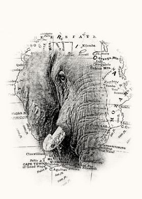 Elephant Face Africa Map
